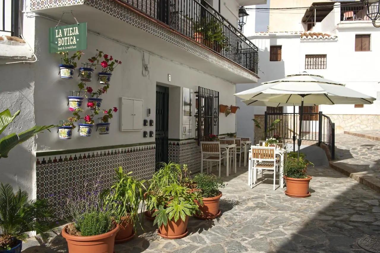 La Vieja Botica Bed & Breakfast Canillas de Aceituno 0*,
